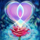 Heart Rose.jpg